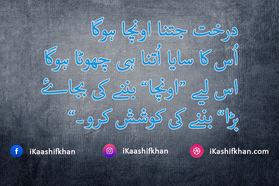amazing quotes in urdu
